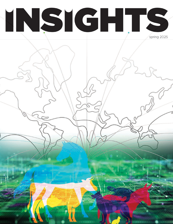 collage cover graphic